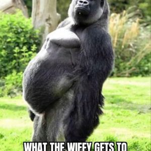 Meet your Posher, Kevin